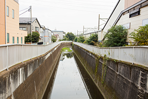 三鷹台駅付近の神田川のフリー写真素材