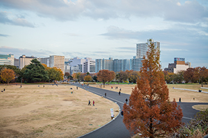 昭和記念公園のフリー写真素材
