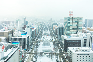 冬の札幌大通公園のフリー写真素材