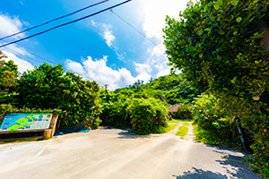 沖縄大宜味村のフリー写真素材