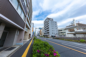 埼玉県庁付近 中山道のフリー写真素材