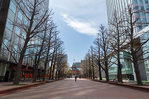 札幌赤レンガテラスのフリー写真素材