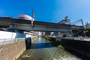 町田市 境川のフリー写真素材